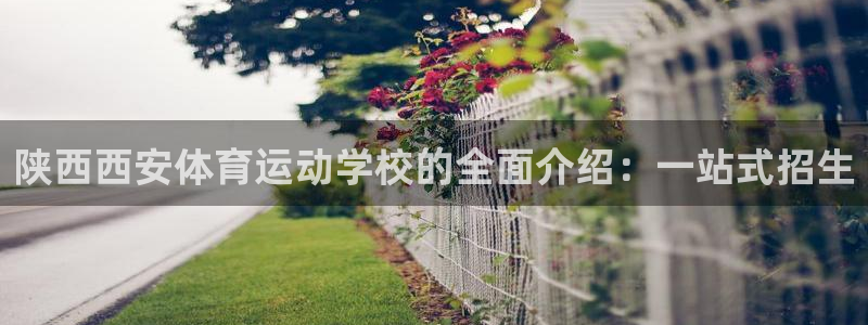 鲸鱼体育直播足球