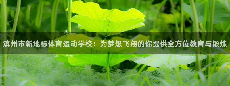 鲸鱼体育