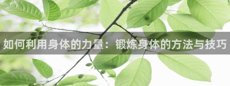 鲸鱼体育app下载入口官网
